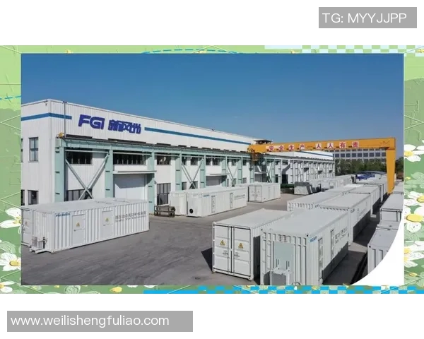 南京羽毛球队逆风翻盘的创新之路与未来展望