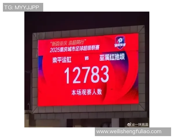 重庆乒乓球队技术争议引发热议球迷与专家各抒己见探讨发展方向