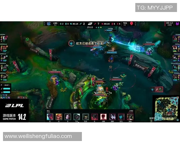 英雄联盟深度：解密TES的盯防